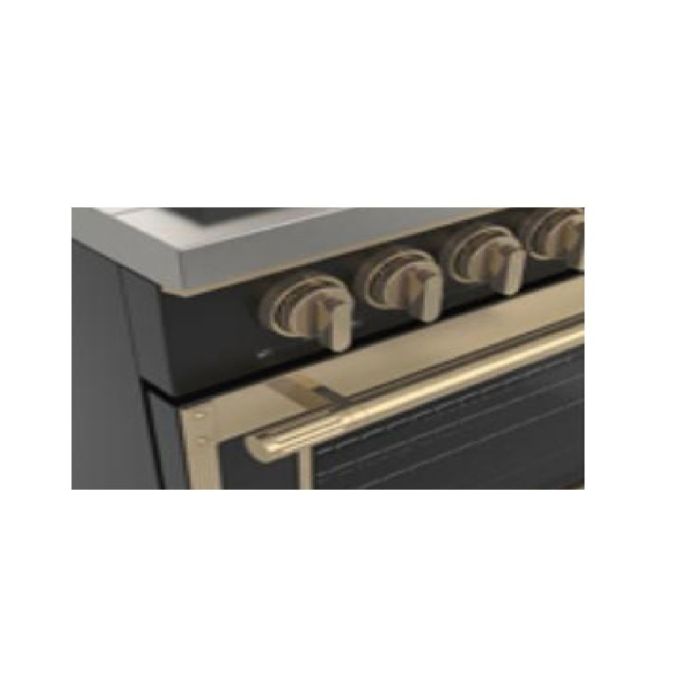 60 In. Gas and Induction  Range Fulgor Milano F4EDF606GBR1-MB  Matte Black  10 Burners     Capacity 4.34 cubic feet  1,400 + 600 W Watts  Width 60 inches